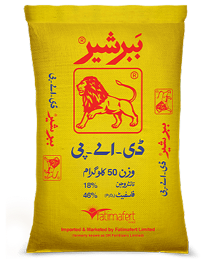 Bubber Sher DAP bag