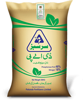 Sarsabz DAP bag